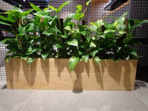   &raquo; Click to zoom ->