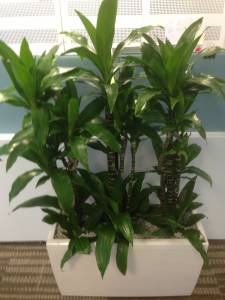   &raquo; Click to zoom ->