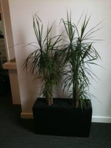   &raquo; Click to zoom ->