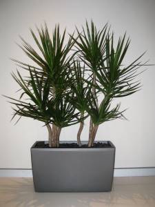   &raquo; Click to zoom ->