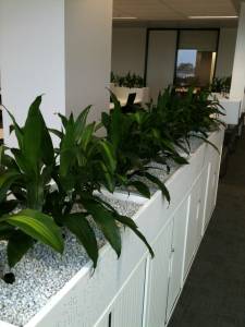   &raquo; Click to zoom ->