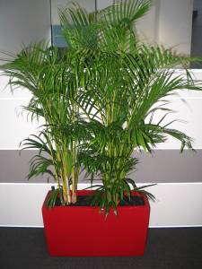   &raquo; Click to zoom ->