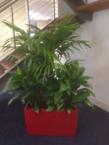   &raquo; Click to zoom ->