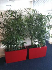   &raquo; Click to zoom ->