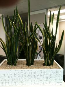   &raquo; Click to zoom ->