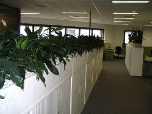   &raquo; Click to zoom ->