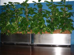   &raquo; Click to zoom ->