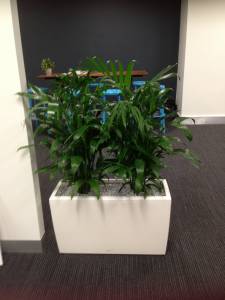   &raquo; Click to zoom ->