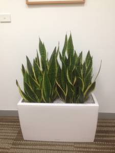   &raquo; Click to zoom ->