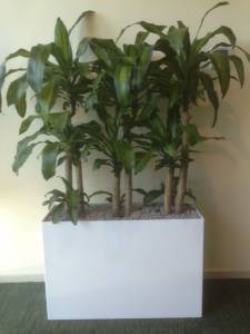   &raquo; Click to zoom ->