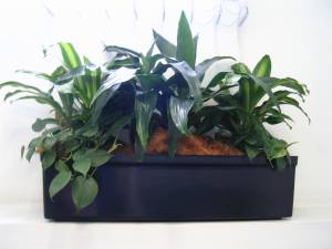   &raquo; Click to zoom ->