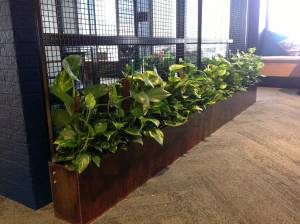   &raquo; Click to zoom ->