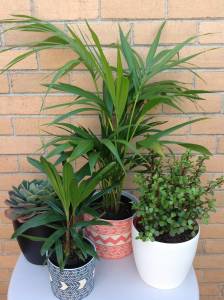   &raquo; Click to zoom ->