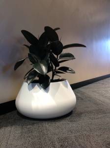   &raquo; Click to zoom ->