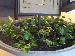   &raquo; Click to zoom ->