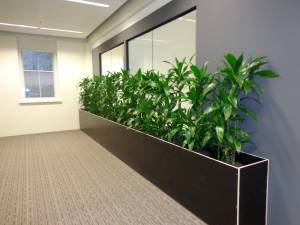   &raquo; Click to zoom ->