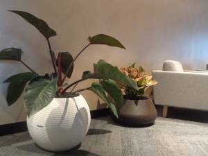   &raquo; Click to zoom ->