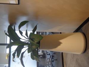   &raquo; Click to zoom ->