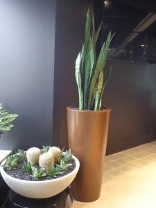   &raquo; Click to zoom ->