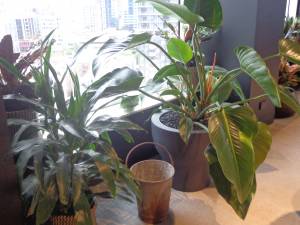   &raquo; Click to zoom ->