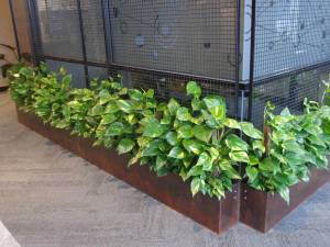   &raquo; Click to zoom ->