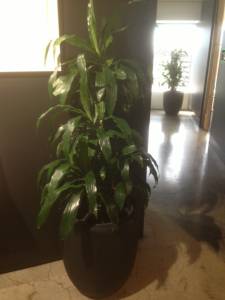   &raquo; Click to zoom ->