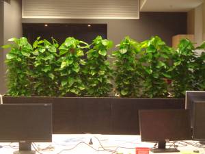   &raquo; Click to zoom ->