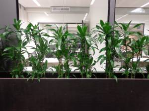   &raquo; Click to zoom ->