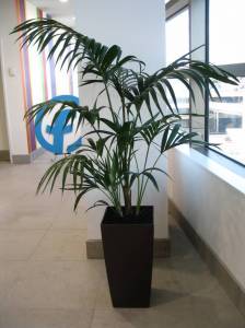   &raquo; Click to zoom ->