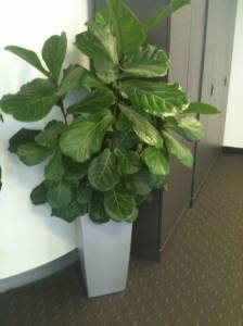   &raquo; Click to zoom ->