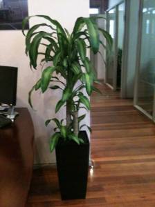   &raquo; Click to zoom ->