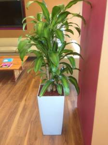   &raquo; Click to zoom ->