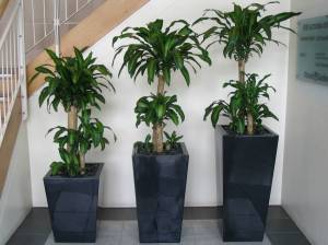   &raquo; Click to zoom ->