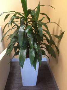   &raquo; Click to zoom ->