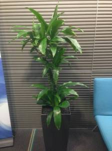   &raquo; Click to zoom ->