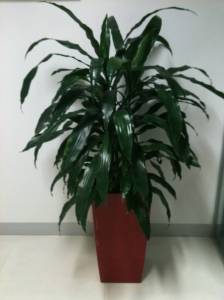   &raquo; Click to zoom ->