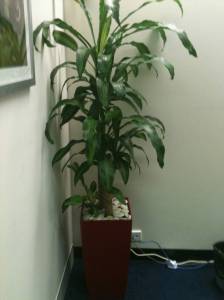   &raquo; Click to zoom ->