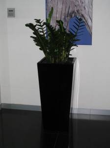   &raquo; Click to zoom ->