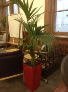   &raquo; Click to zoom ->